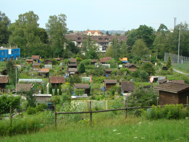 svycZahr1
